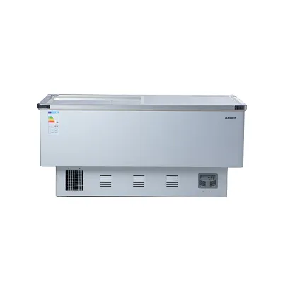 Морозильная бонета J IC-20 636 л